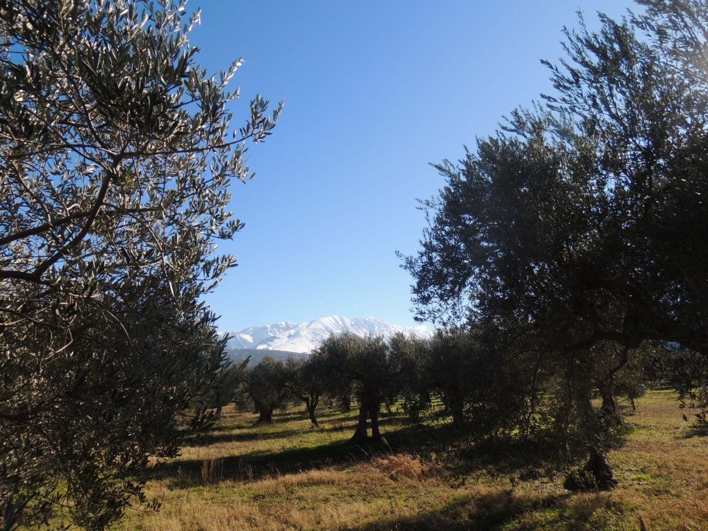 Living in Abruzzo